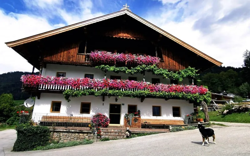 lanzinger_bild_osm_bearbeitet1.jpg